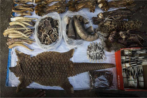 孕婦抑郁癥治療項目