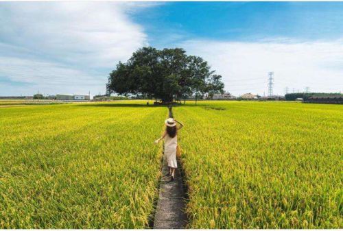 靜滴生脈治療失眠