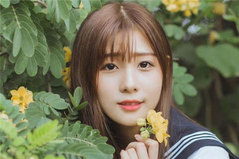 四物湯治療心悸失眠