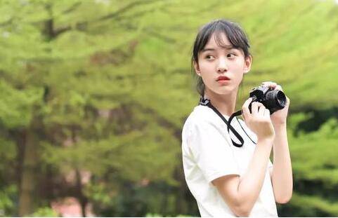 養(yǎng)貓治療抑郁書(shū)籍哪本好