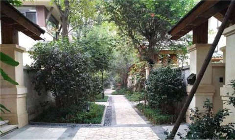 女主抑郁癥只有男主治療