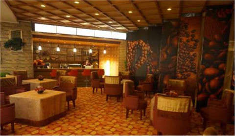 決明子能不能治療失眠