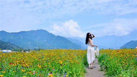 心膽虛失眠怎么治療