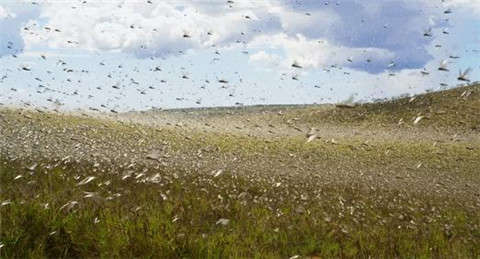 兒童牙科睡眠治療日