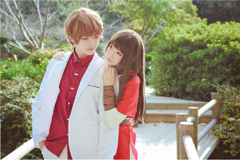 三七治療失眠偏方秘方